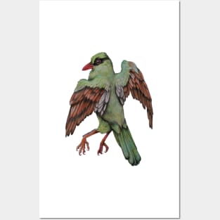 Javan Green Magpie SING FOR SONGBIRDS Posters and Art